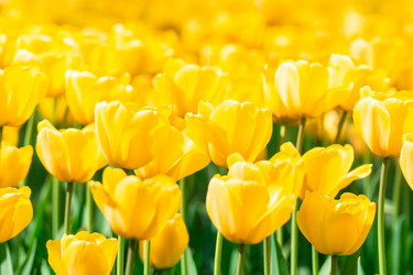 Similar image 22048390