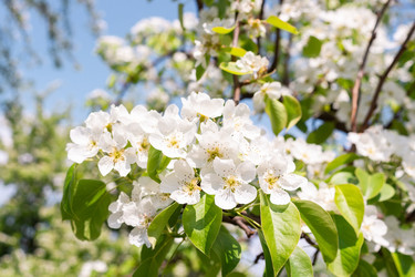 Similar image 22048394