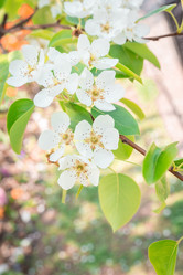 Similar image 22048410