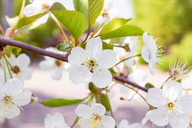 Similar image 22048422