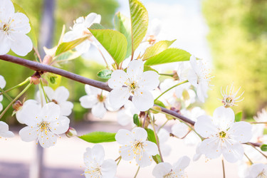 Similar image 22048424