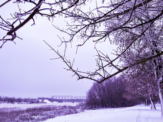 Similar image 22049003