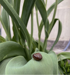 Similar image 22049004