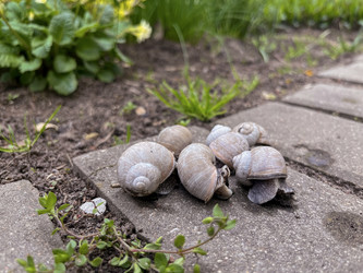 Similar image 22049005