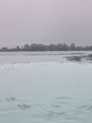 Similar image 22049006