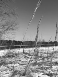 Similar image 22049010