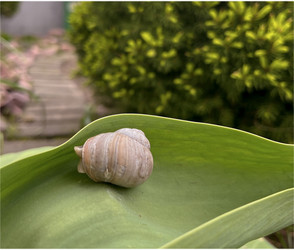 Similar image 22049011