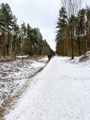 Similar image 22049012