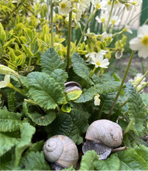 Similar image 22049014