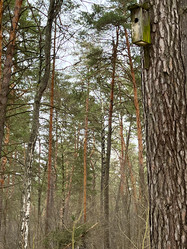 Similar image 22049016