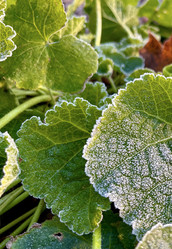 Similar image 22049018