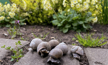 Similar image 22049019