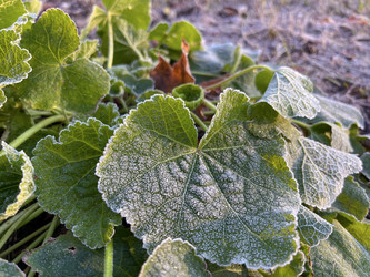 Similar image 22049021