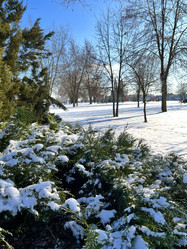 Similar image 22049022