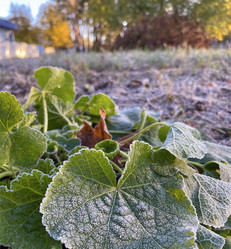 Similar image 22049023