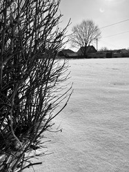 Similar image 22049026