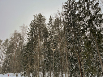 Similar image 22049027