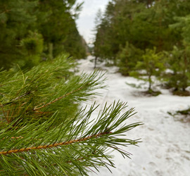 Similar image 22049028