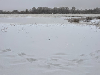 Similar image 22049029