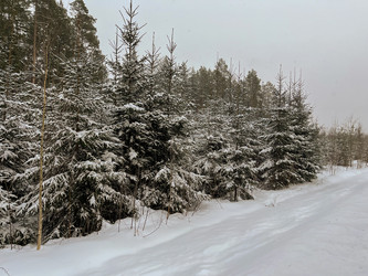 Similar image 22049030