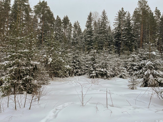 Similar image 22049031