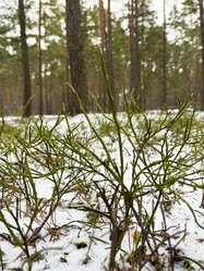 Similar image 22049032