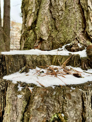 Similar image 22049033