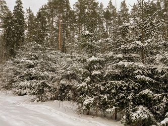 Similar image 22049034