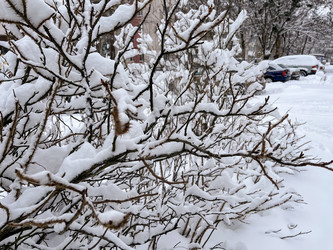 Similar image 22049037