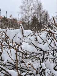 Similar image 22049040