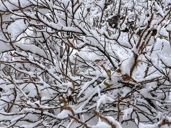 Similar image 22049043