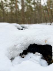 Similar image 22049044