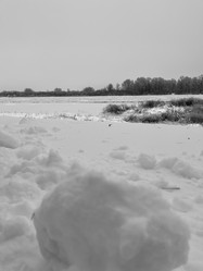 Similar image 22049045