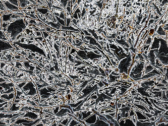 Similar image 22049046