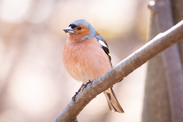 Similar image 22048553