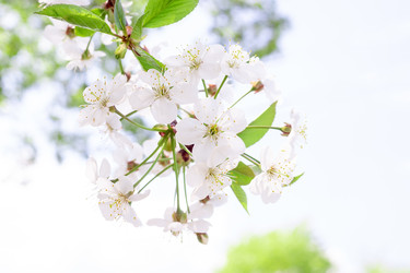 Similar image 22048554