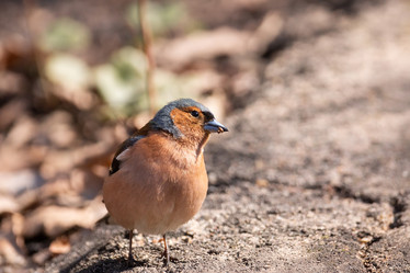 Similar image 22048561