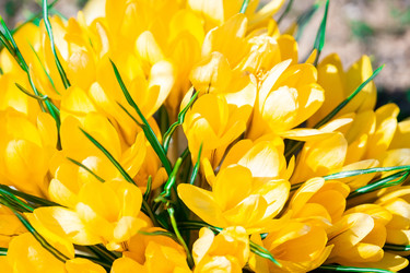 Similar image 22048566