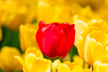 Similar image 22048572