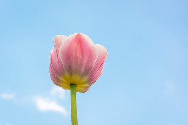 Similar image 22048580