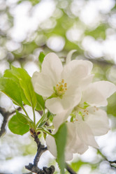 Similar image 22048820