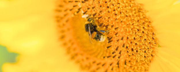 Similar image 22048821