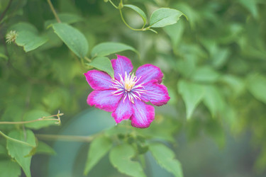 Similar image 22048822