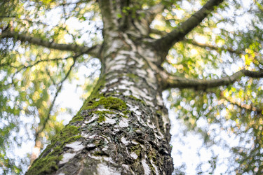 Similar image 22048823