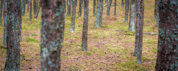 Similar image 22048824