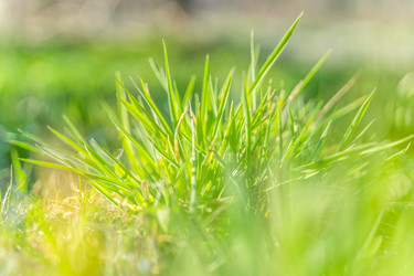 Similar image 22048825