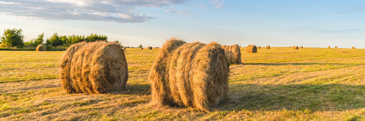 Similar image 22048827