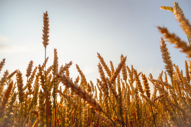 Similar image 22048828