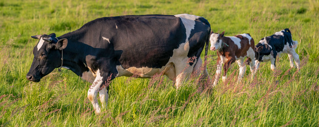 Similar image 22048829