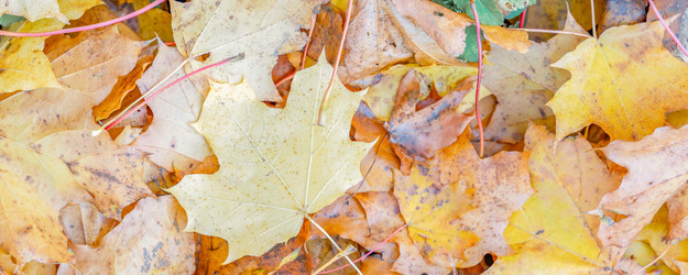 Similar image 22048830